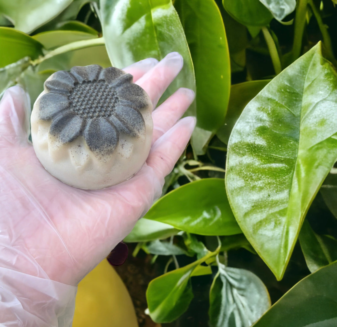 Stimulating Shampoo Bar